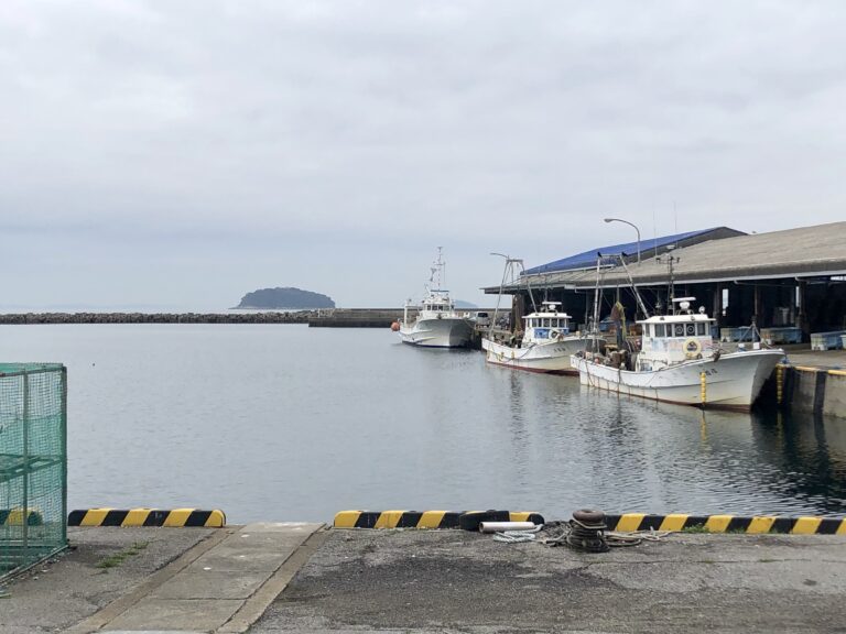 愛知県蒲郡市が映画の舞台に!?『ゾッキ』の公開情報、気になるロケ地は？ - 野風のように -編集者ママの子育て記-